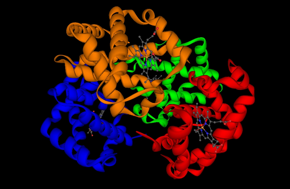 Rendering of protein 1a3n