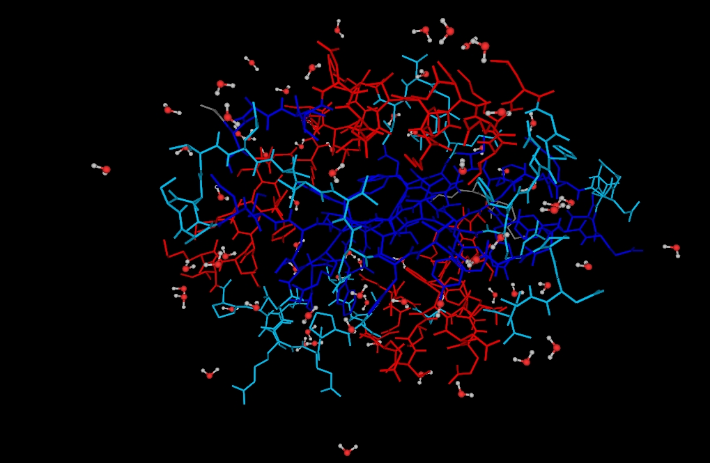 Rendering of protein 1ahq