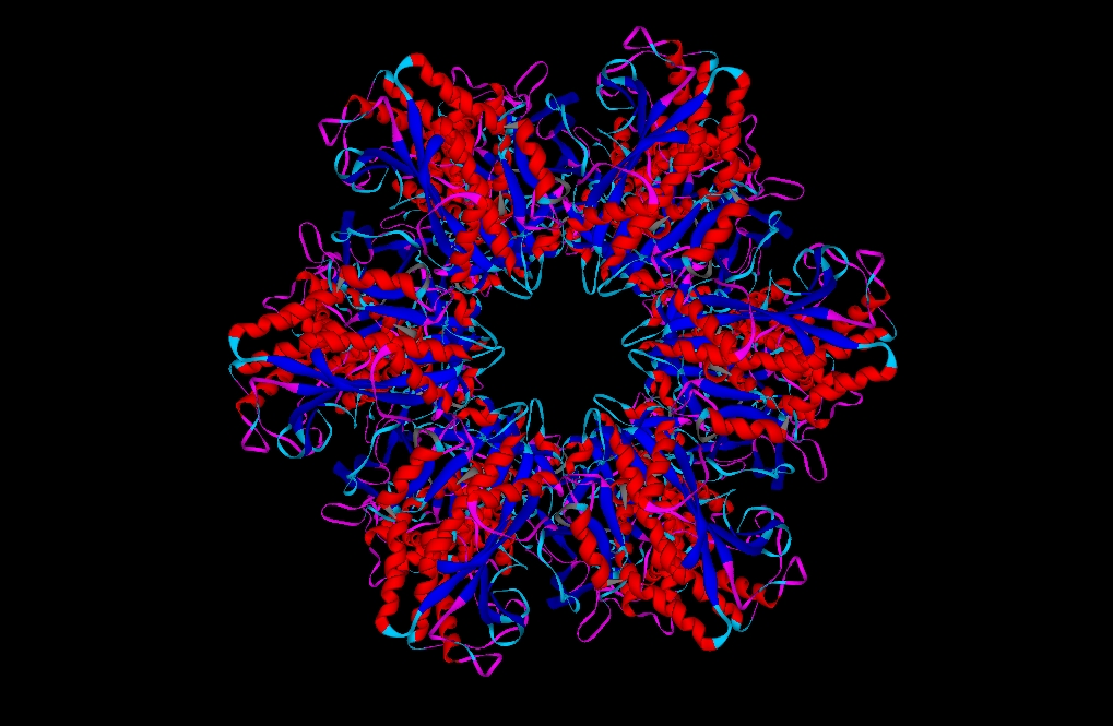 Rendering of protein 2gls